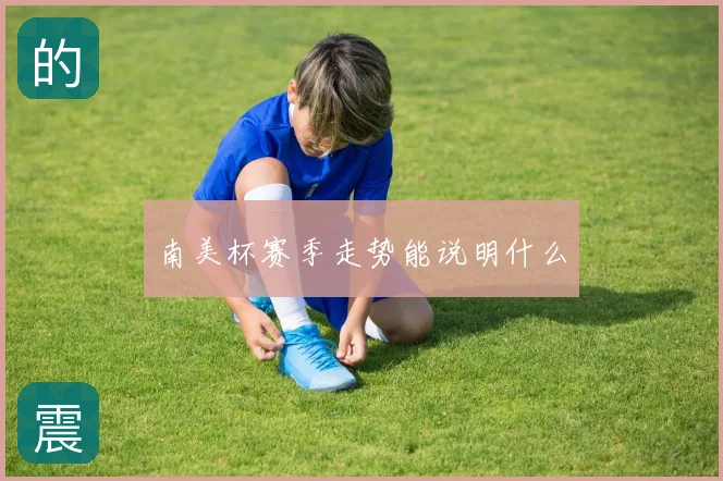 南美杯赛季走势能说明什么